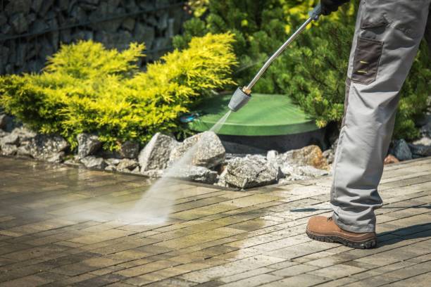 Animal Enclosure Cleaning in Woodville, CA